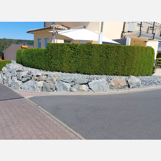 Sichtschutz der Terrasse vorher